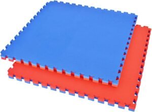 Kabbadi Senior Mat